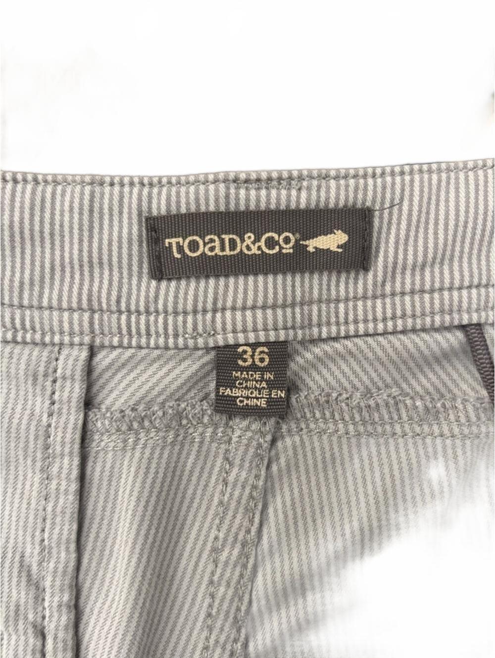 Toad&Co Organic Cotton Light Gray Pinstripe Flat Front Shorts | Men’s Size 36